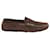 Tod's Gommino Loafers in Brown Suede   ref.863573