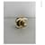 CHANEL ORIGINAL CLASP CC ( Classic bag) Gold hardware - view 2