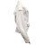 Alexandre Vauthier Jaqueta jeans branca Moto - vista 2