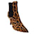 Dolce & Gabbana Brown Leopard Haalm Pony Boots/Booties Pony-style calfskin  ref.939774