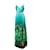Roberto Cavalli, Floral gown in green. Polyester  ref.1003322