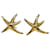 Tiffany & Co brincos de estrela do mar de ouro  ref.986731