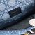 Cannage Borse DIOR Dior Caro - vista 7
