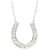 Tiffany & Co Horseshoe Silvery Platinum  ref.1050762