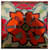 Hermès Echarpes Soie Cachemire Multicolore  ref.1062299
