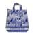 DIOR  Handbags T.  cloth Blue  ref.1065614