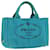 PRADA Canapa PM Hand Bag Canvas Light Blue Auth ep1689 Cloth  ref.1066501