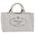 PRADA Canapa MM Hand Bag Canvas White Auth ep1685 Cloth  ref.1070396