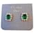 Christian Dior Earrings Silvery Green Metal  ref.1074891