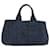 PRADA Canapa GM Hand Bag Canvas Blue Auth ar10269 Cloth  ref.1078754