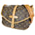 Louis Vuitton Saumur 30 Brown Cloth  ref.1079083