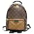 Louis Vuitton Palm Springs Mini Brown Leather  ref.1083459