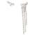 Half Lonf Earrings - Isabel Marant - Metal - Silver Silvery Metallic  ref.1085930