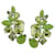 Rares boucles d'oreilles en cristal vert Valentino Garavani  ref.1086111