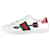 Gucci White arrow-detail ace trainers - size EU 35.5 Leather  ref.1120364