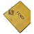FENDI Ohrringe T.  Metall Golden  ref.1155157