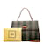 Fendi Pequin Canvas Handbag Brown Cloth  ref.1175262