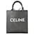Céline Celine Black Triomphe Canvas Mittelgroße vertikale Cabas-Tasche Schwarz Leinwand  ref.1189060
