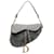 Saddle Bolsa de selim bordada cinza Dior Lona Pano  ref.1189598