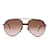 Carrera Sunglasses Brown Metal  ref.1194250