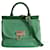 Dolce & Gabbana Sicily shoulder bag in green raffia and leather  ref.1199779