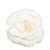 Chanel Camellia Flower Brooch White Cloth  ref.1201517