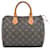 Louis Vuitton Speedy 25 Brown Cloth  ref.1209732