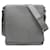 Louis Vuitton Roman Grey Leather  ref.1210013