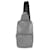 Bolso bandolera gris Taiga Avenue de Louis Vuitton Cuero  ref.1215458