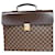 Louis Vuitton Altona Brown Cloth  ref.1216971