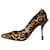 Dolce & Gabbana Sapatos castanhos com estampa de leopardo de pelo de bezerro - tamanho UE 37 Marrom Couro  ref.1217359