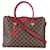 Louis Vuitton Damier Ebene Canvas LV Riverside Tote Brown Cloth  ref.1221204