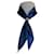 Burberry Scarves Blue Silk  ref.1223897