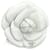 Chanel CAMELIA Bianco Pelle  ref.1226563