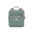 CHANEL Handbags Vanity Green Leather  ref.1227083