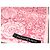 Yves Saint Laurent YSL Bandana Bufanda Mujer Algodón Rosa Rosa Gris Flor - vista 3