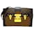 Louis Vuitton Trunk Brown Cloth  ref.1231477