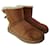 UGG Mini Bailey II boots in camel sheepskin and suede  ref.1236252