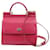 DOLCE & GABBANA Handtaschen Leder Pink  ref.1240224
