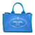 Prada Canapa Logo Tote Bag BN1877 Cloth  ref.1242394
