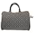 Louis Vuitton Speedy Toile Gris  ref.1245182