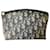 pochette in tela "Oblique" di CHRISTIAN DIOR Bianco Blu Pelle verniciata  ref.1256185