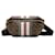 Burberry Brown Monogram Stripe E-Canvas Belt Bag Cloth Cloth  ref.1256300