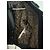 Louis Vuitton Bikerjacke aus Leder schwarz - Ansicht 5