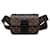 LOUIS VUITTON Handbags Other Brown Cloth  ref.1258480