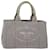 PRADA Canapa MM Hand Bag Canvas Gray Auth ki4125 Grey Cloth  ref.1269210