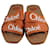 Chloé Chloe Brown Woody Slide Sandals Leather  ref.1283491