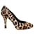 Dolce & Gabbana Talons à imprimé léopard en poils de poney Cuir Crin  ref.1284597