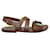 Marni Brown Leather Sandals With Embellishments  ref.1286854