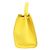 Loro Piana Gelb Medium Cluisee G. Odessa Tragetasche - Ansicht 4